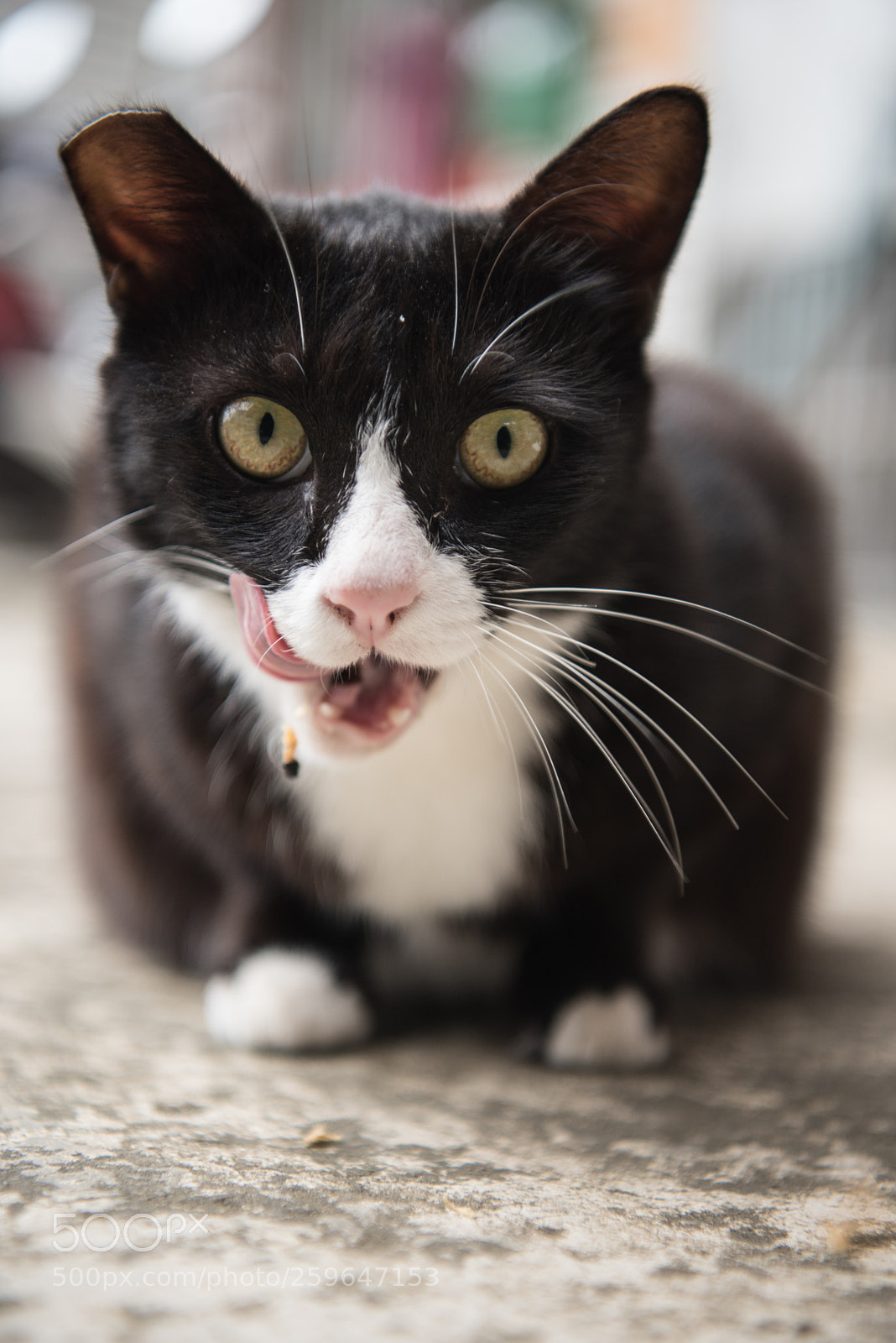 Nikon D810 sample photo. It seems good photography