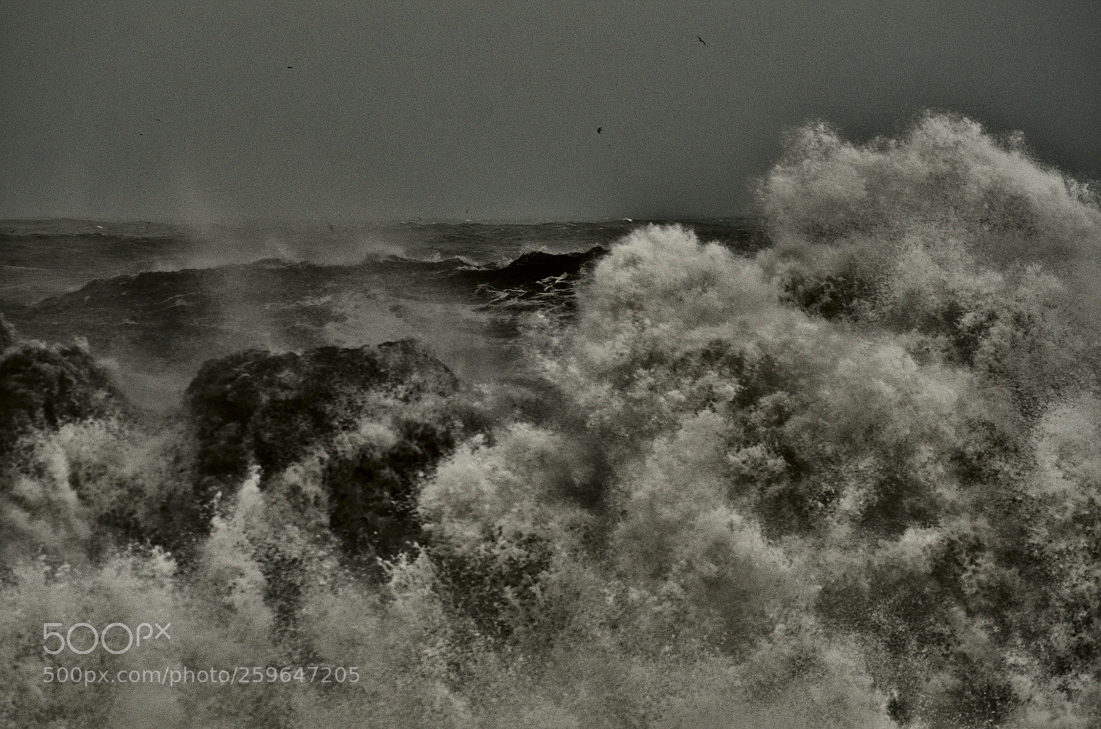 Nikon D7000 sample photo. Wave photography