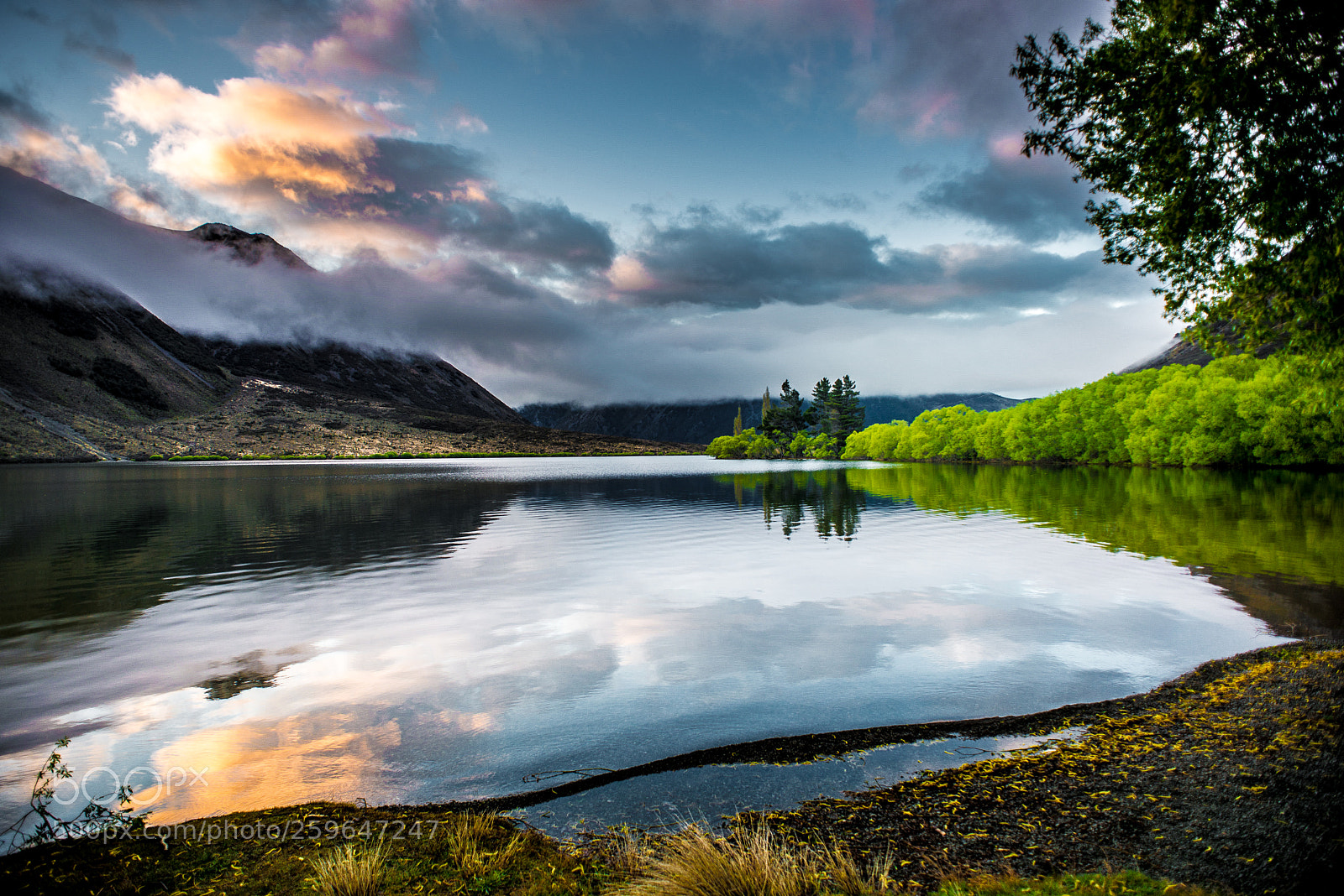 Nikon D600 sample photo. Nz photography