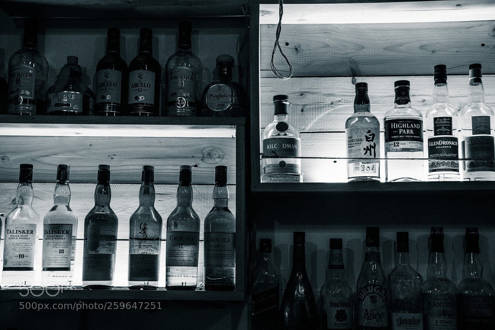 Nikon D810 sample photo. Make a choice photography