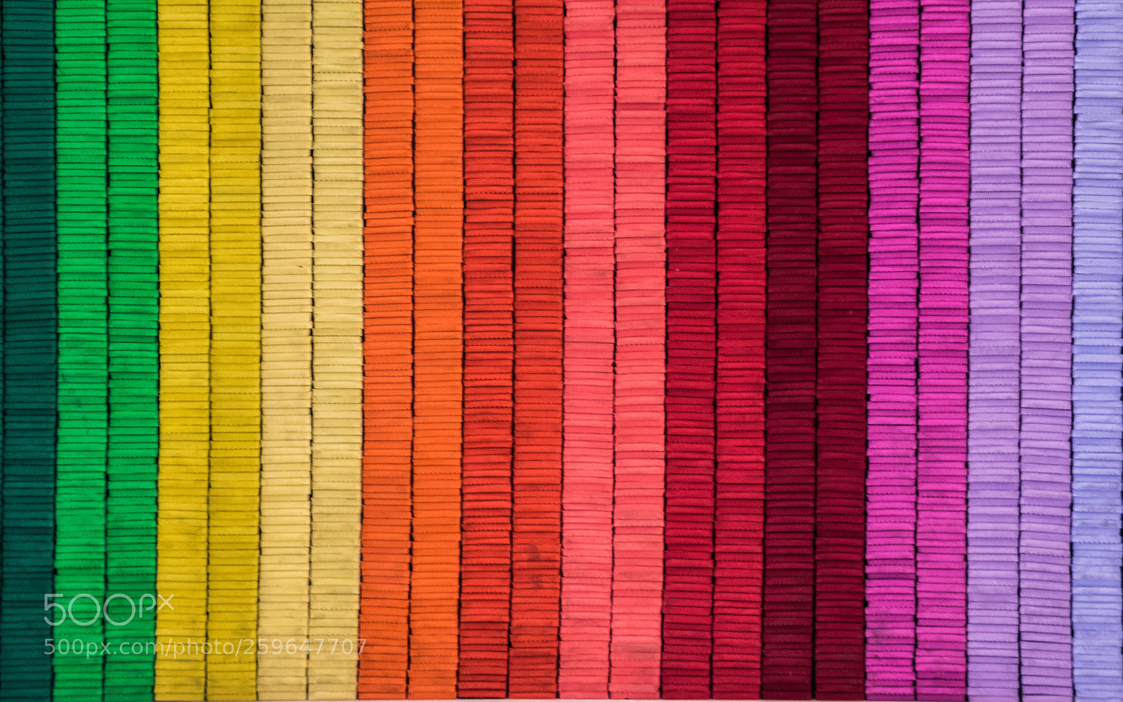Nikon D5500 sample photo. Colours of rainbow photography