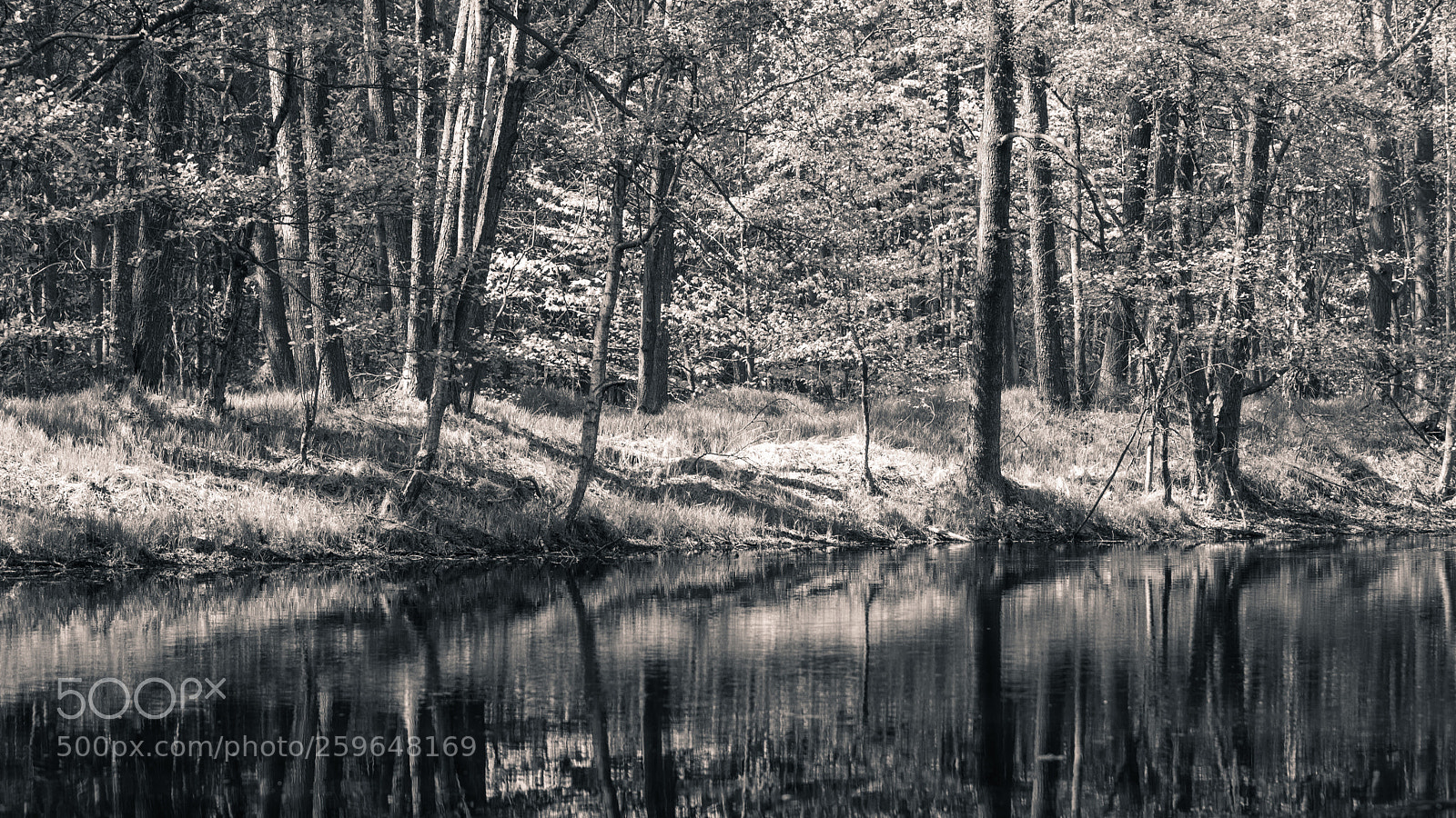 Nikon D810 sample photo. Zabrzeg ii photography