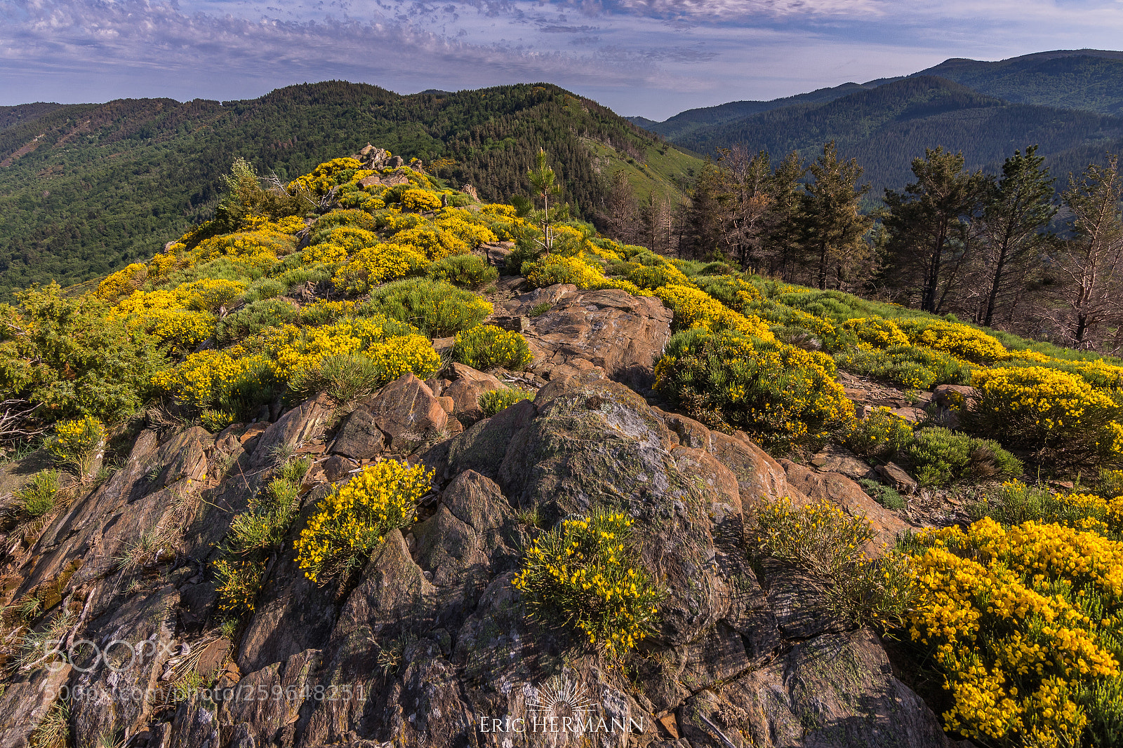 Canon EOS 7D Mark II sample photo. Cévennes i photography