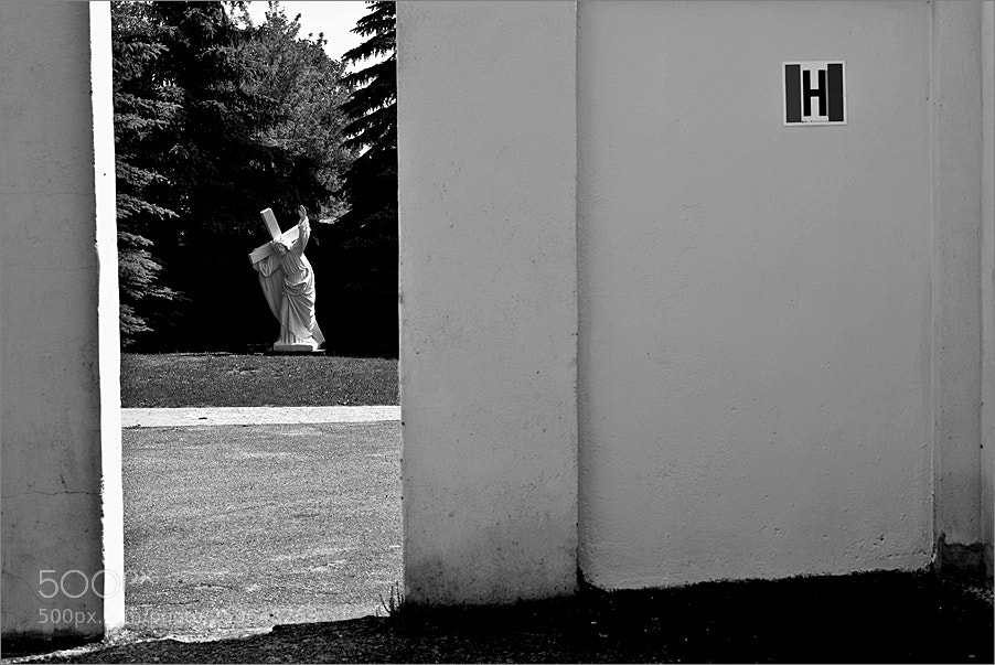 Nikon D610 sample photo. H photography