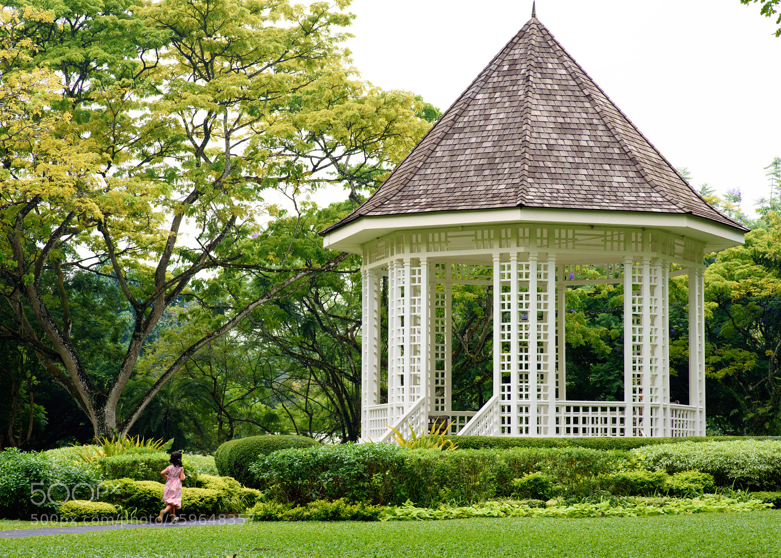 Nikon D750 sample photo. Bandstand photography