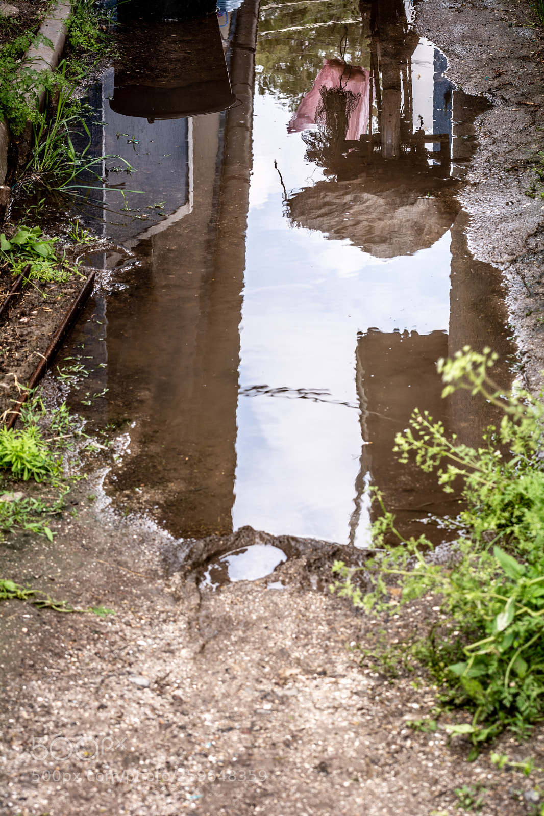 Nikon D7100 sample photo. After rain photography