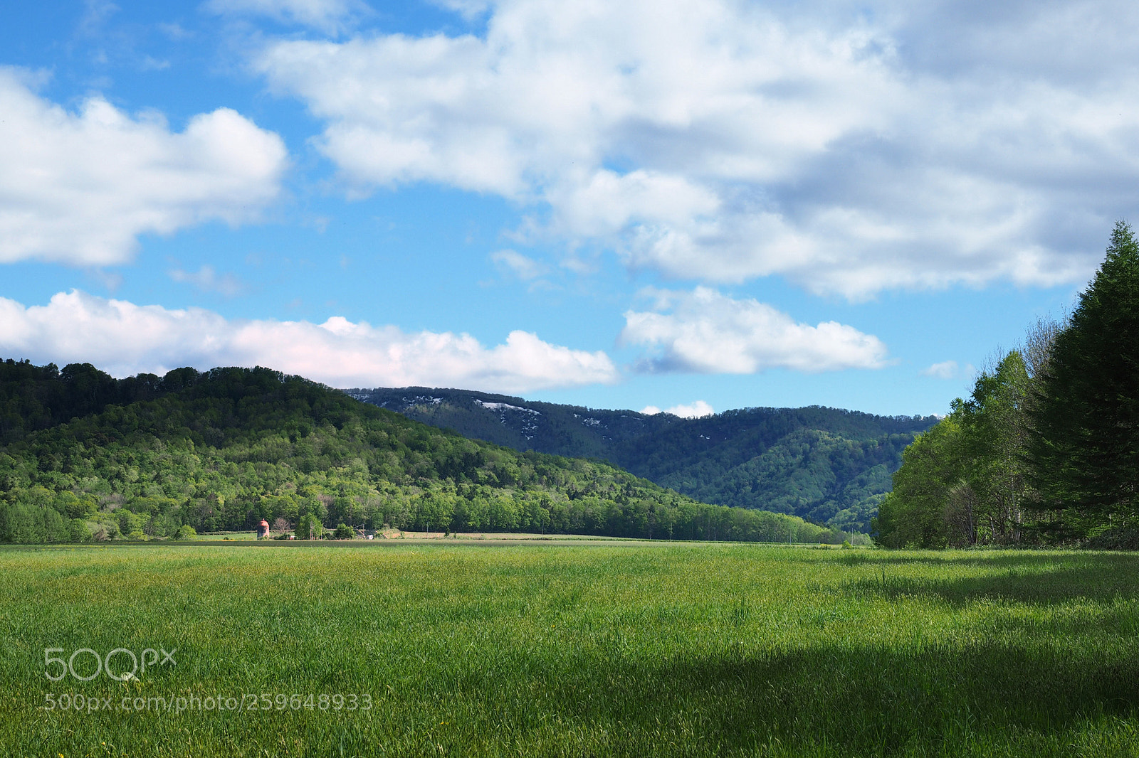 Olympus OM-D E-M1 sample photo. Green grass photography