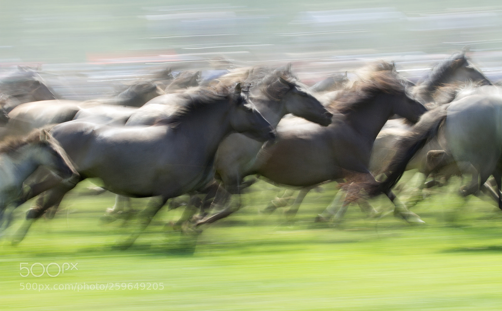 Canon EOS 7D sample photo. Freedom race photography