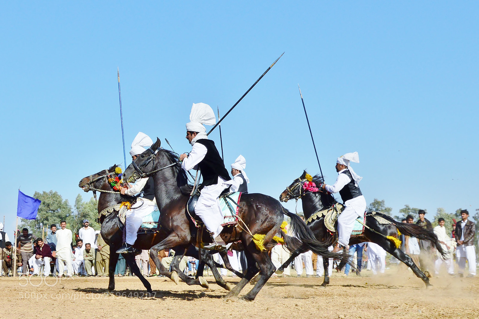 Nikon D3200 sample photo. Charged stallions photography