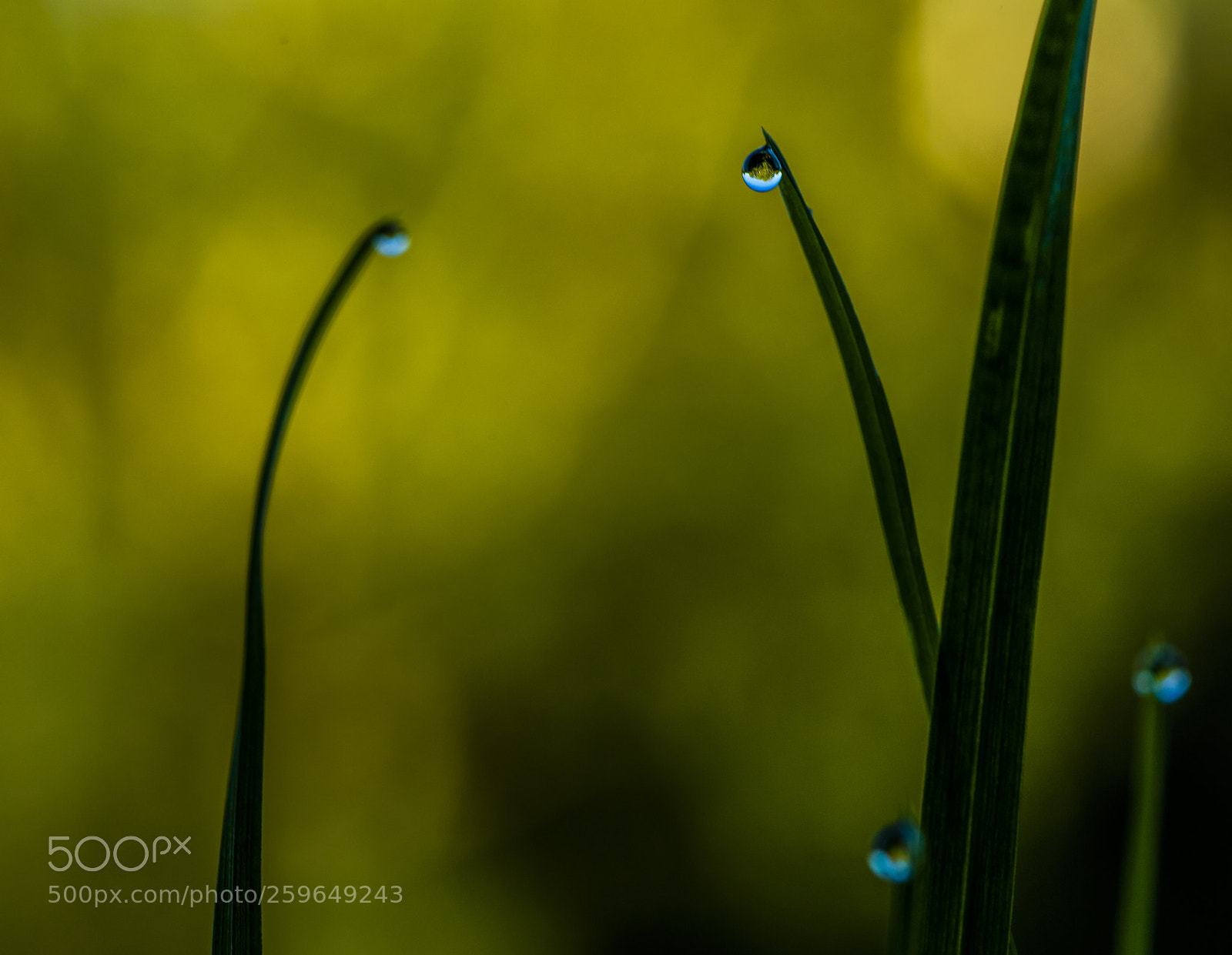 Canon EOS 5DS sample photo. Early morning photography