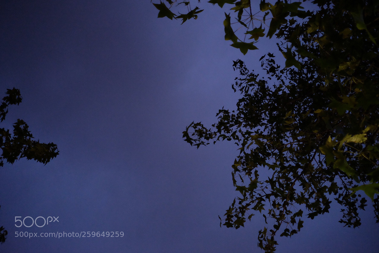 Fujifilm X-E2 sample photo. Untitled photography