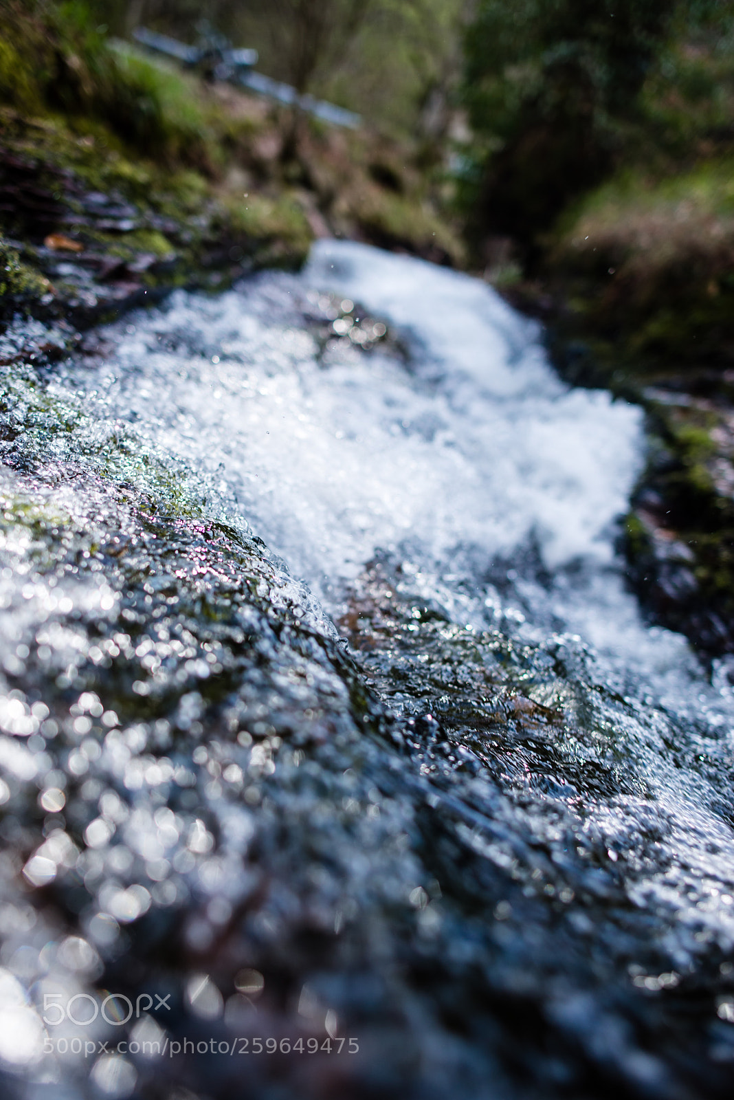 Nikon D610 sample photo. Untitled photography