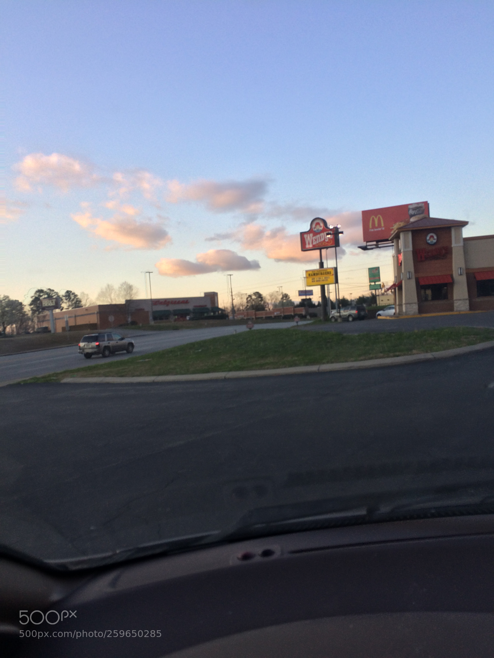 Apple iPhone 5s sample photo. Tennessee beauty photography