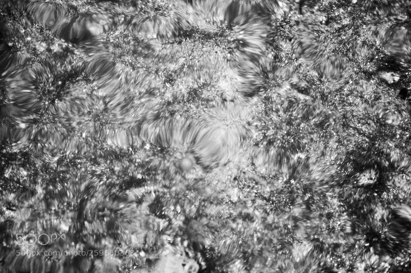 Fujifilm X-T20 sample photo. Untitled photography