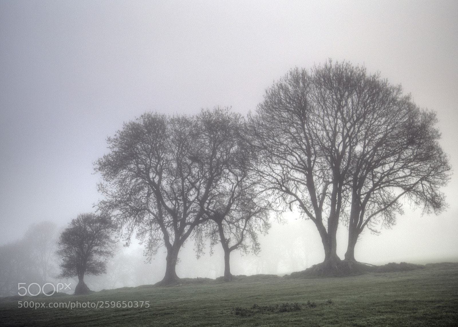 Canon EOS 6D sample photo. Welsh mist i photography