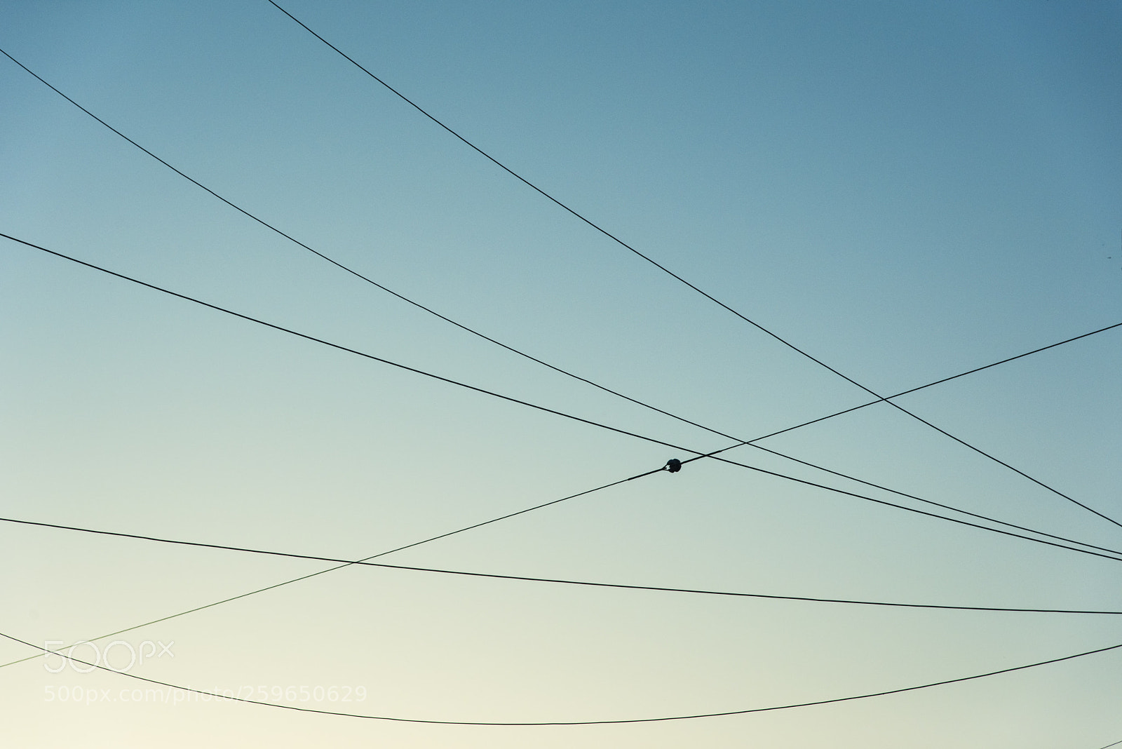 Nikon D810 sample photo. In a world    no.17 photography