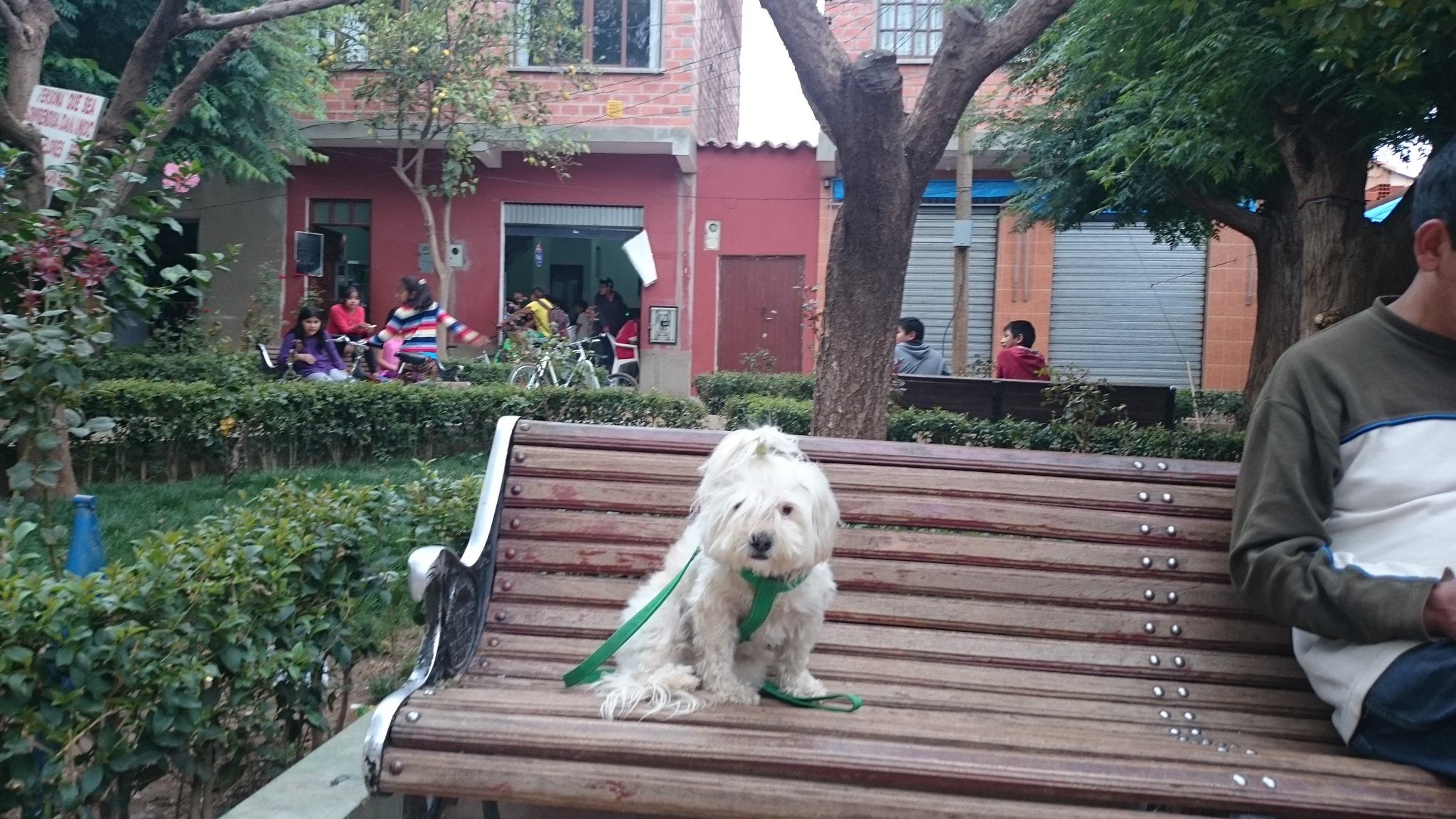 Sony Xperia Z2 sample photo