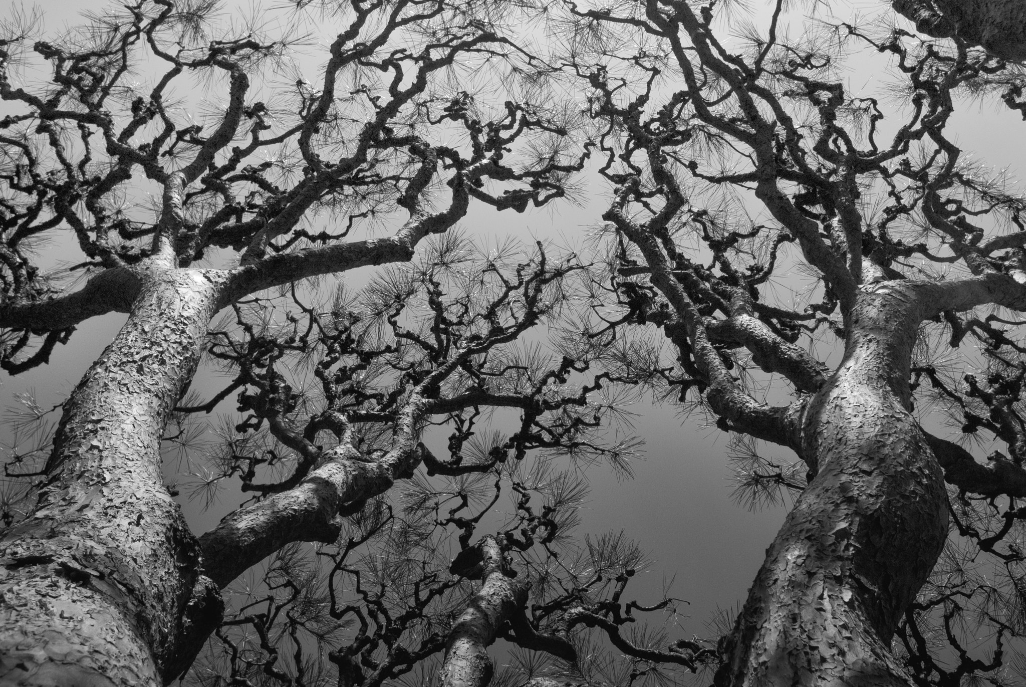 Nikon 1 V1 sample photo. Mri photography