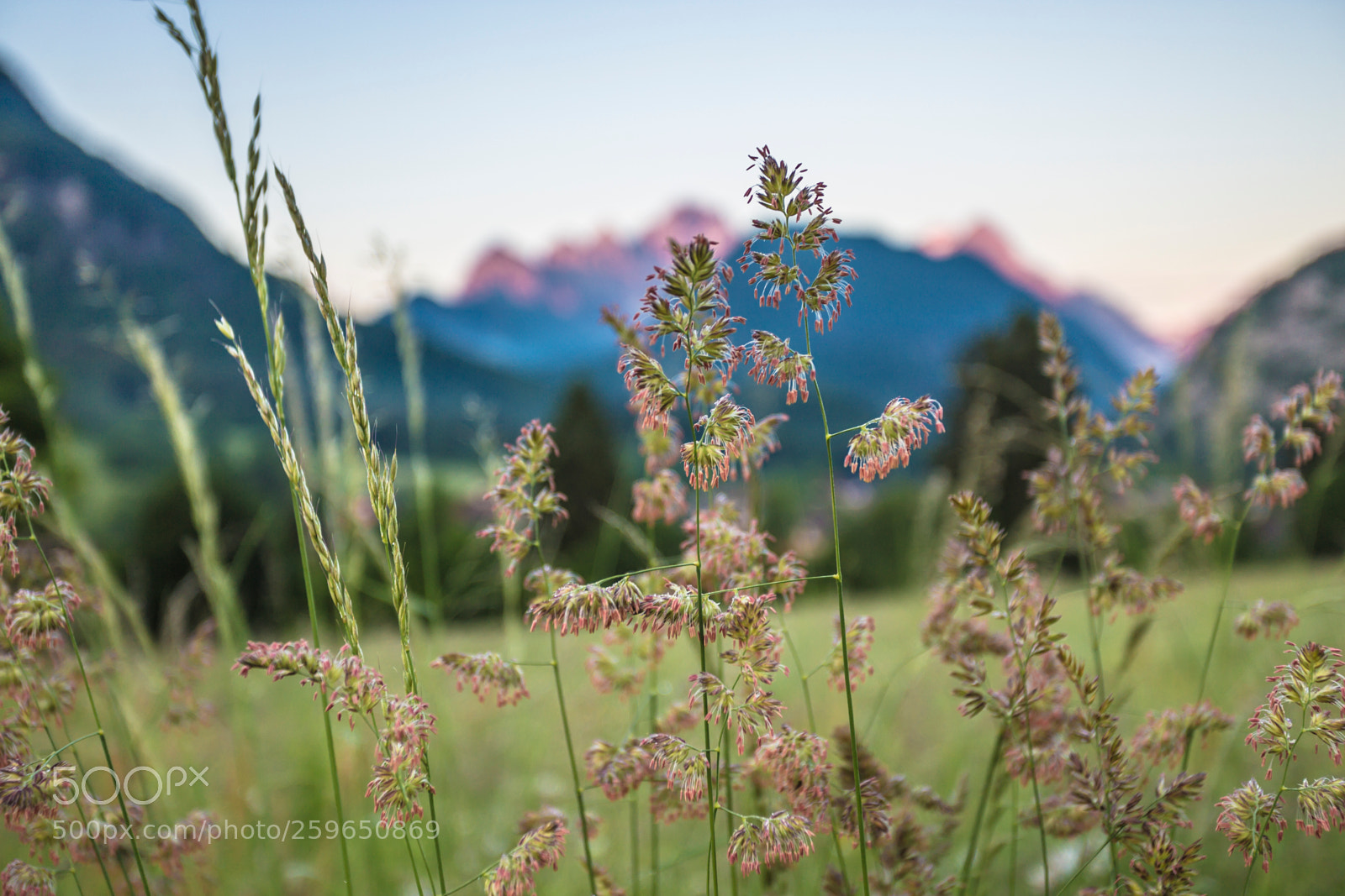 Canon EOS 6D sample photo. Mojstrana photography