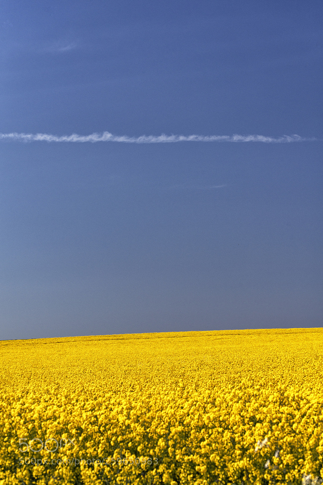Nikon D800 sample photo. Colours, photography