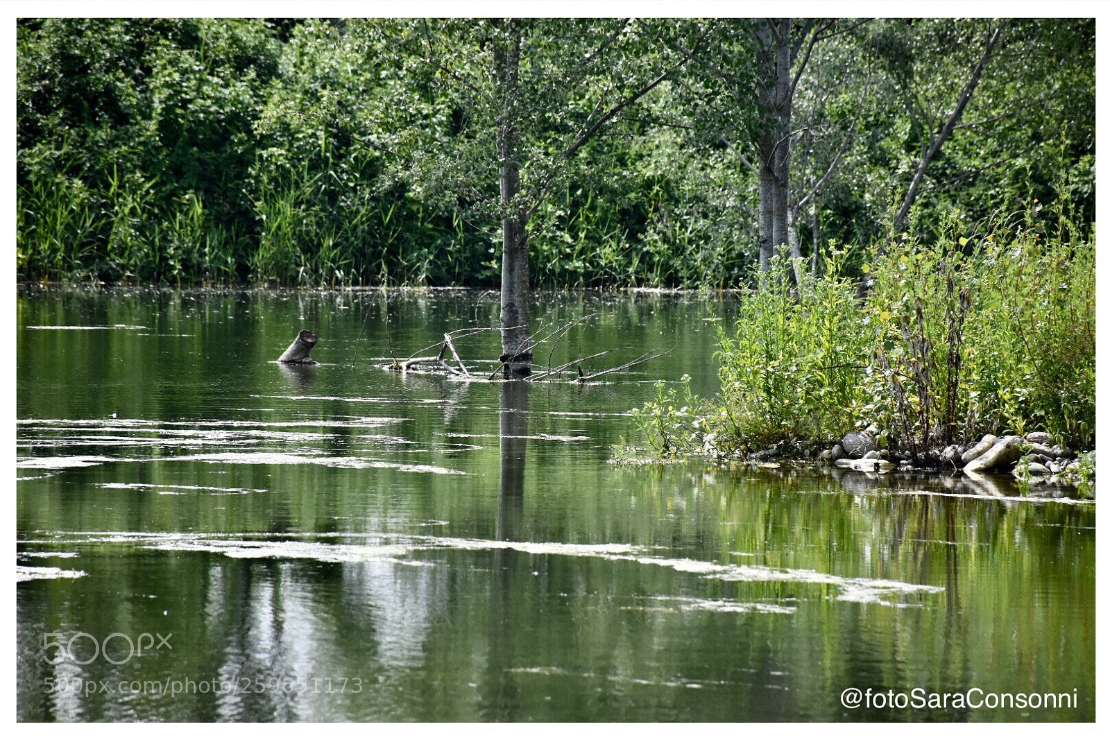 Nikon D7200 sample photo. Paesaggio  photography