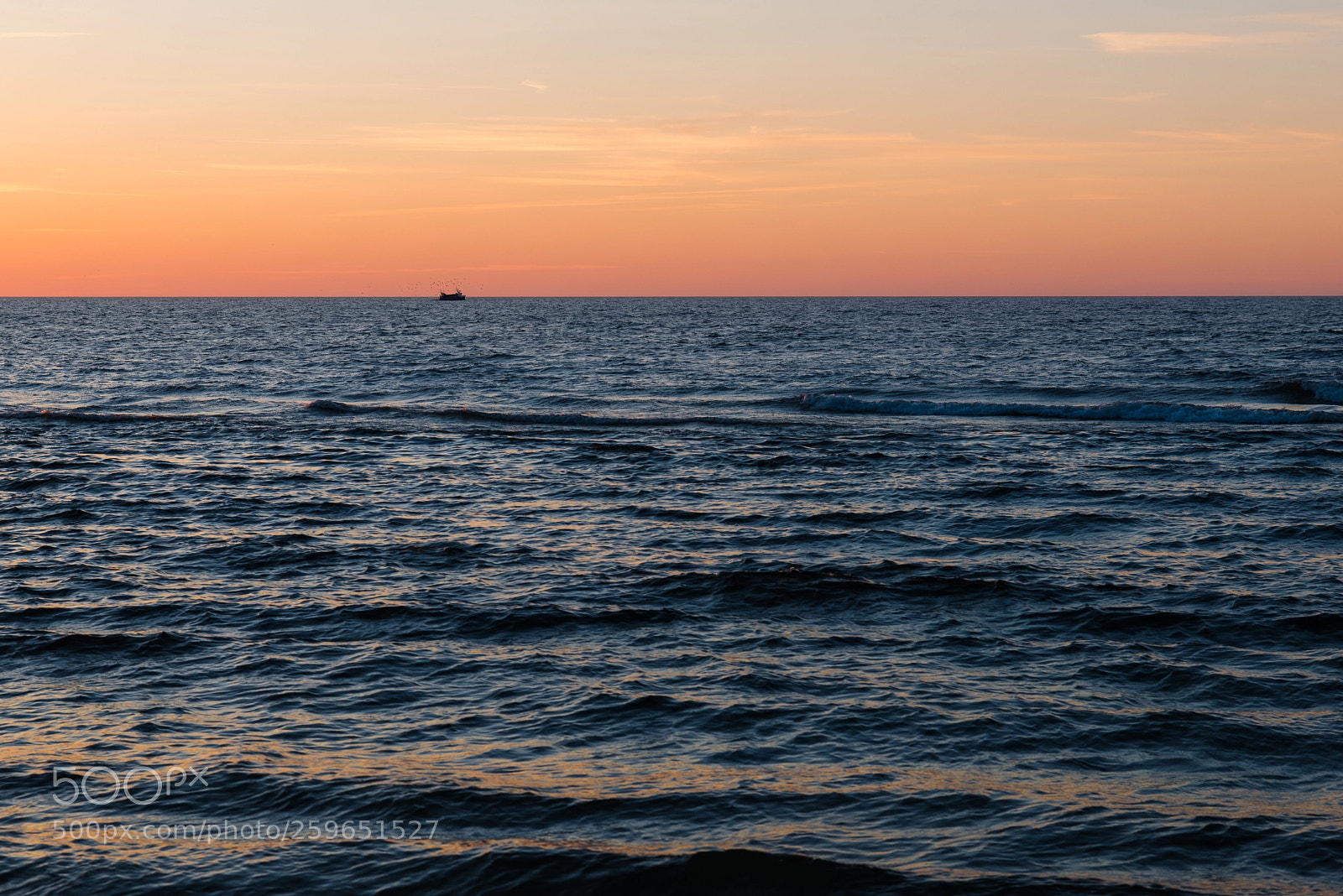 Nikon D800 sample photo. There must be fish photography