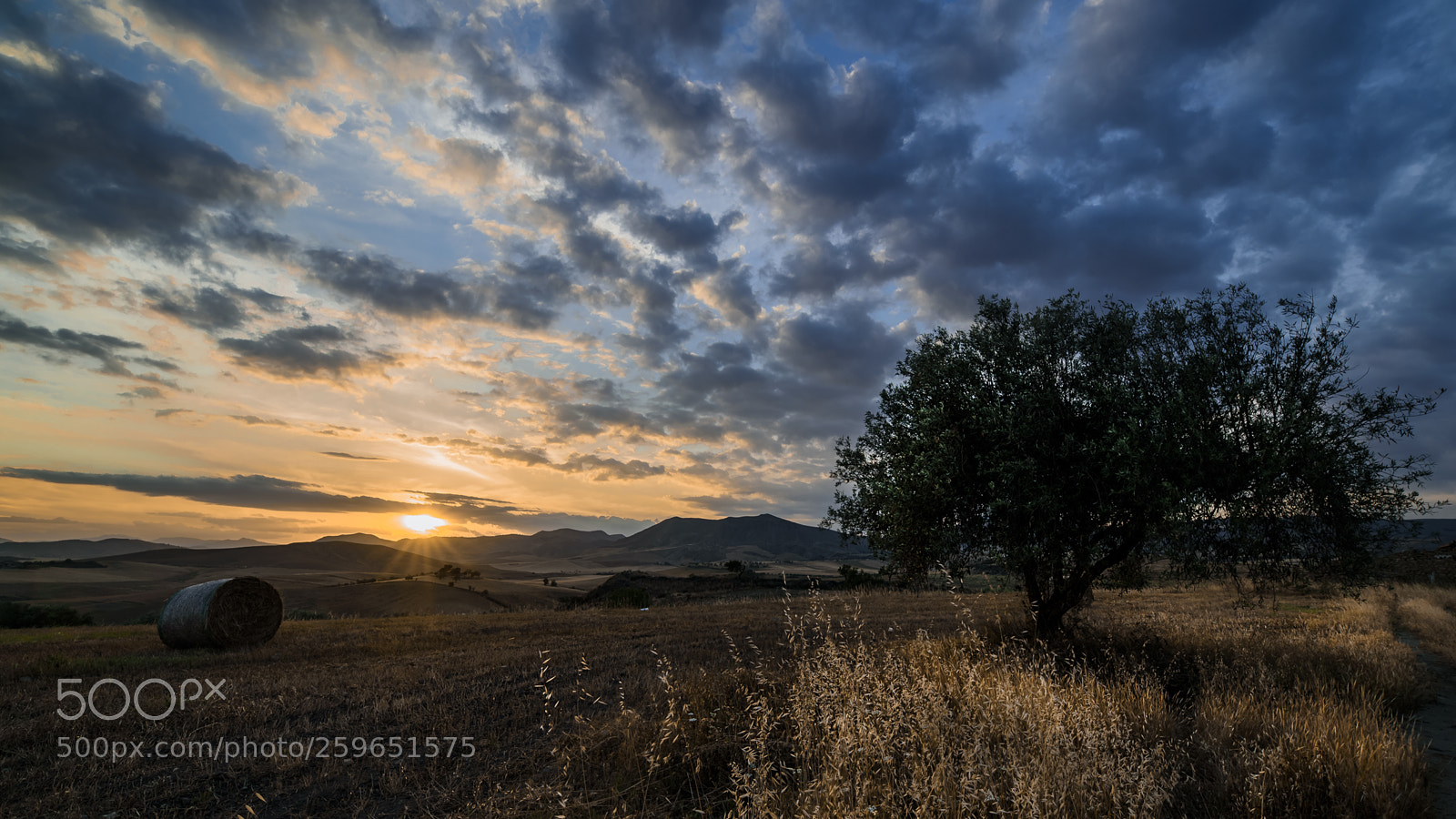 Nikon D750 sample photo. Sicilian sunset. photography