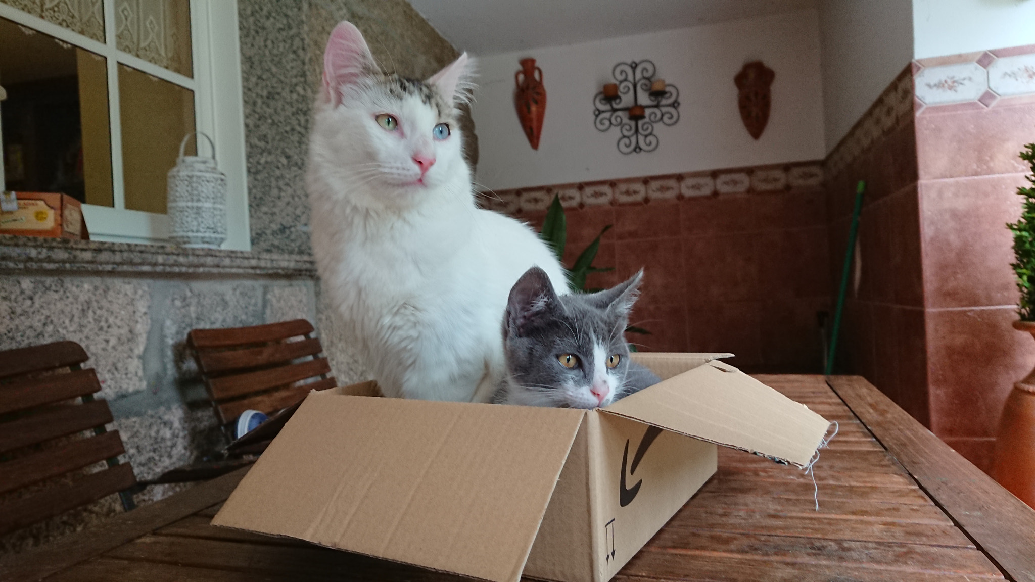 Sony Xperia XZ Premium sample photo