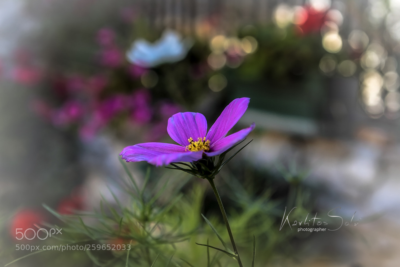 Canon EOS 7D sample photo. Valle de tena photography