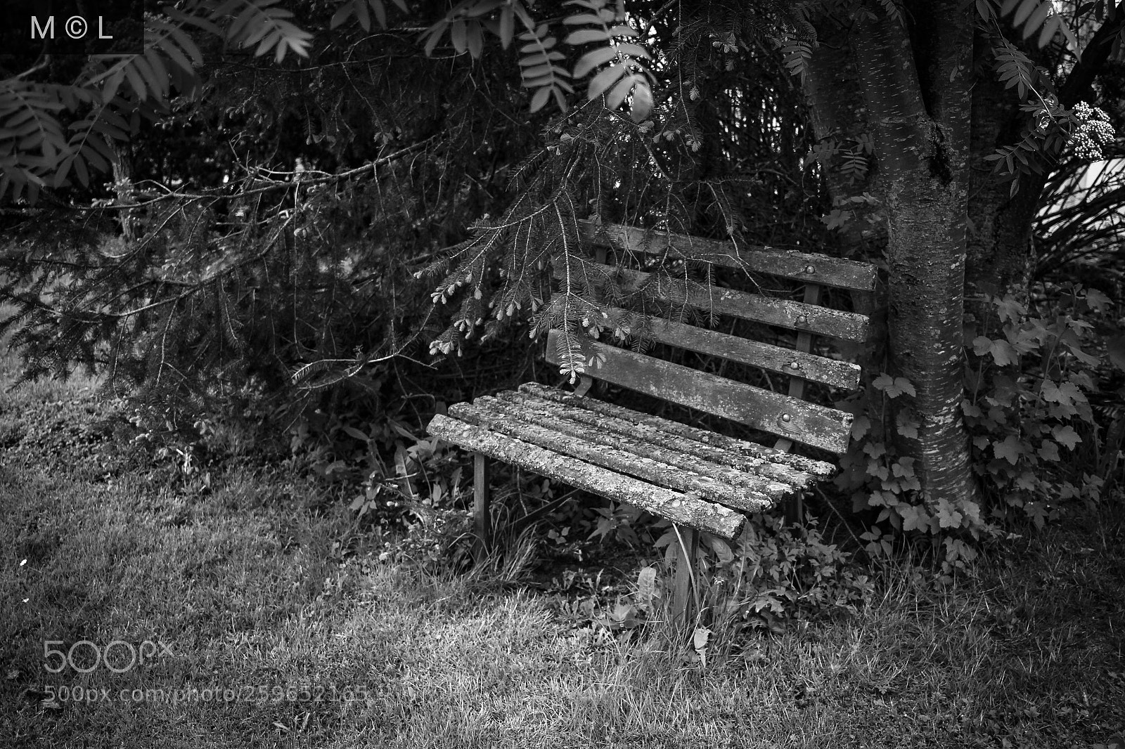 Canon EOS 600D (Rebel EOS T3i / EOS Kiss X5) sample photo. Forgotten bench photography