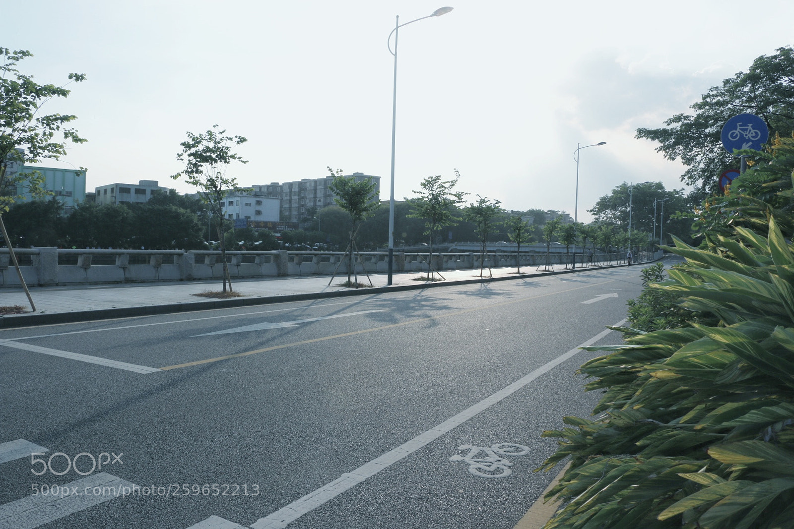 Canon EOS 70D sample photo. 长洲岛 photography
