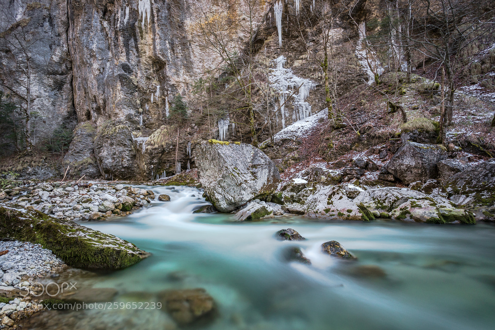 Canon EOS 5D Mark IV sample photo. Wild world photography