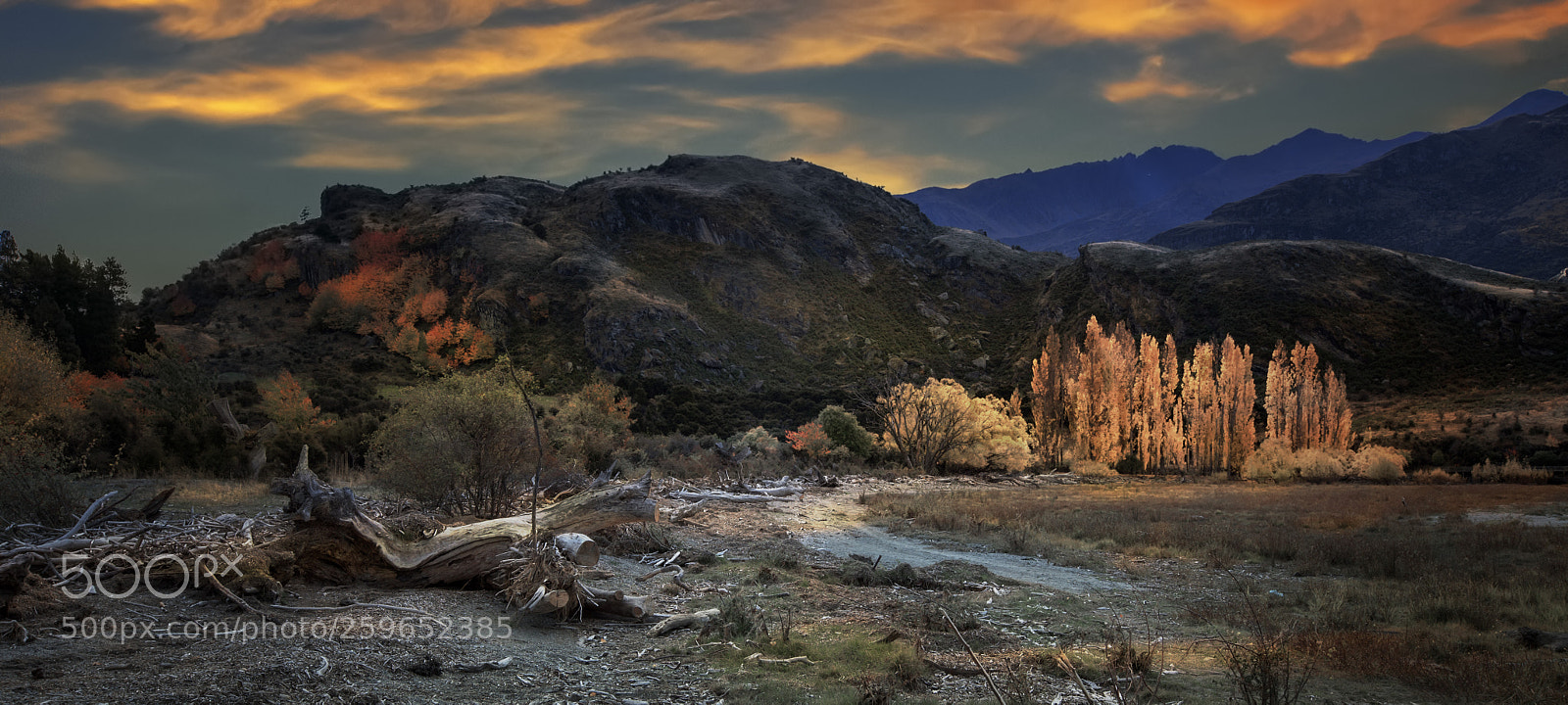 Canon EOS 5D Mark II sample photo. Golden clouds and trees photography