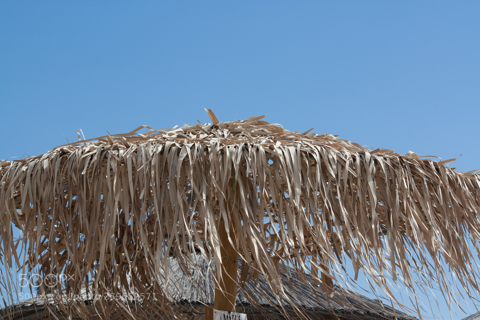 Canon EOS 450D (EOS Rebel XSi / EOS Kiss X2) sample photo. Parasol on the beach photography