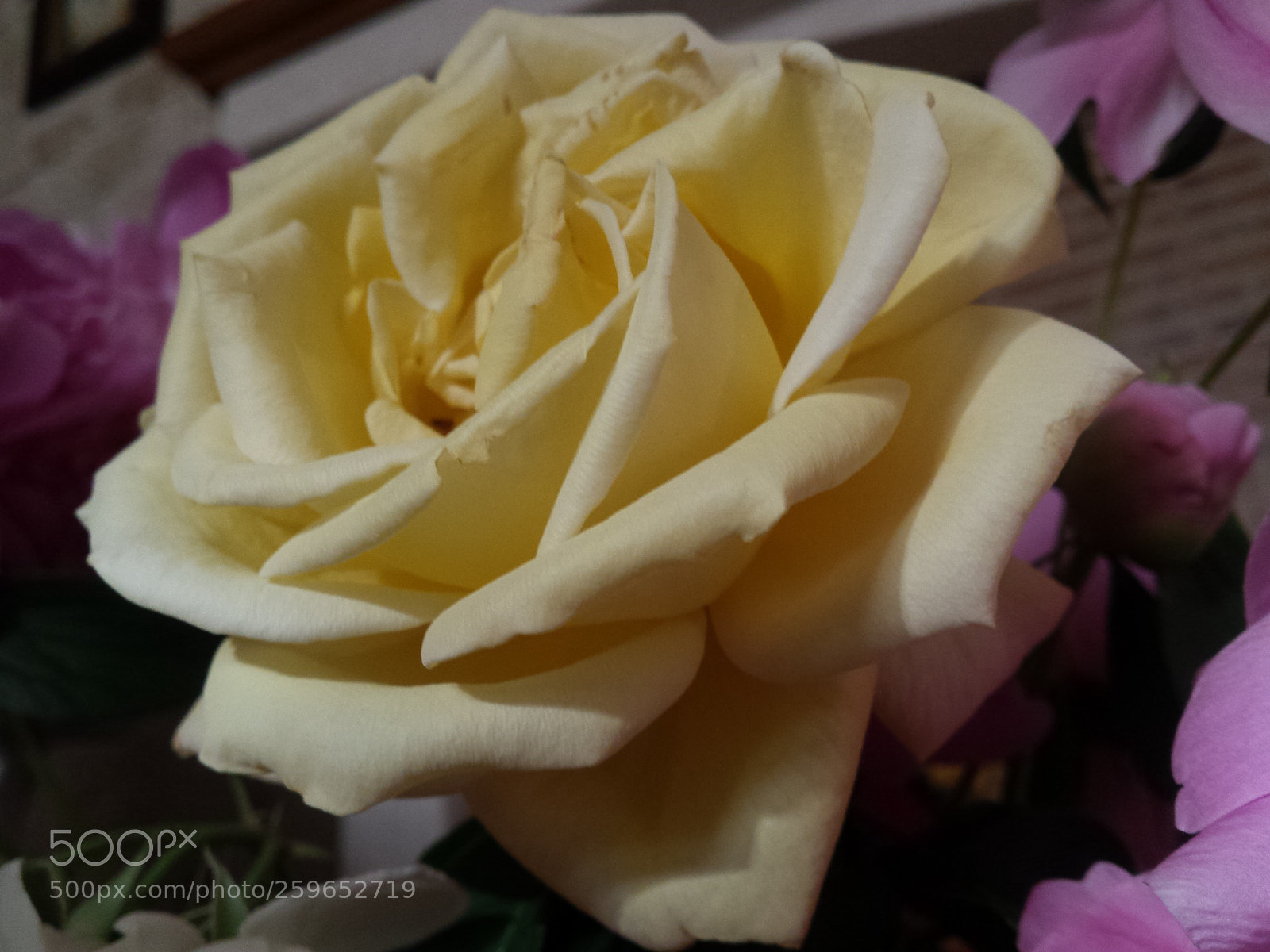 Samsung Galaxy S4 sample photo. Untitled photography