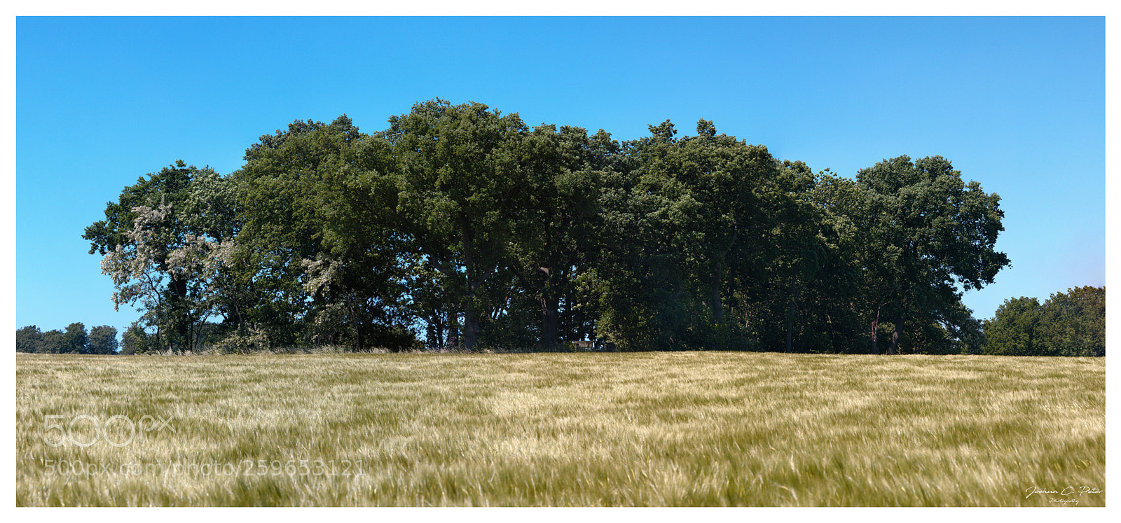 Canon EOS 6D Mark II sample photo. German prairie landscape photography