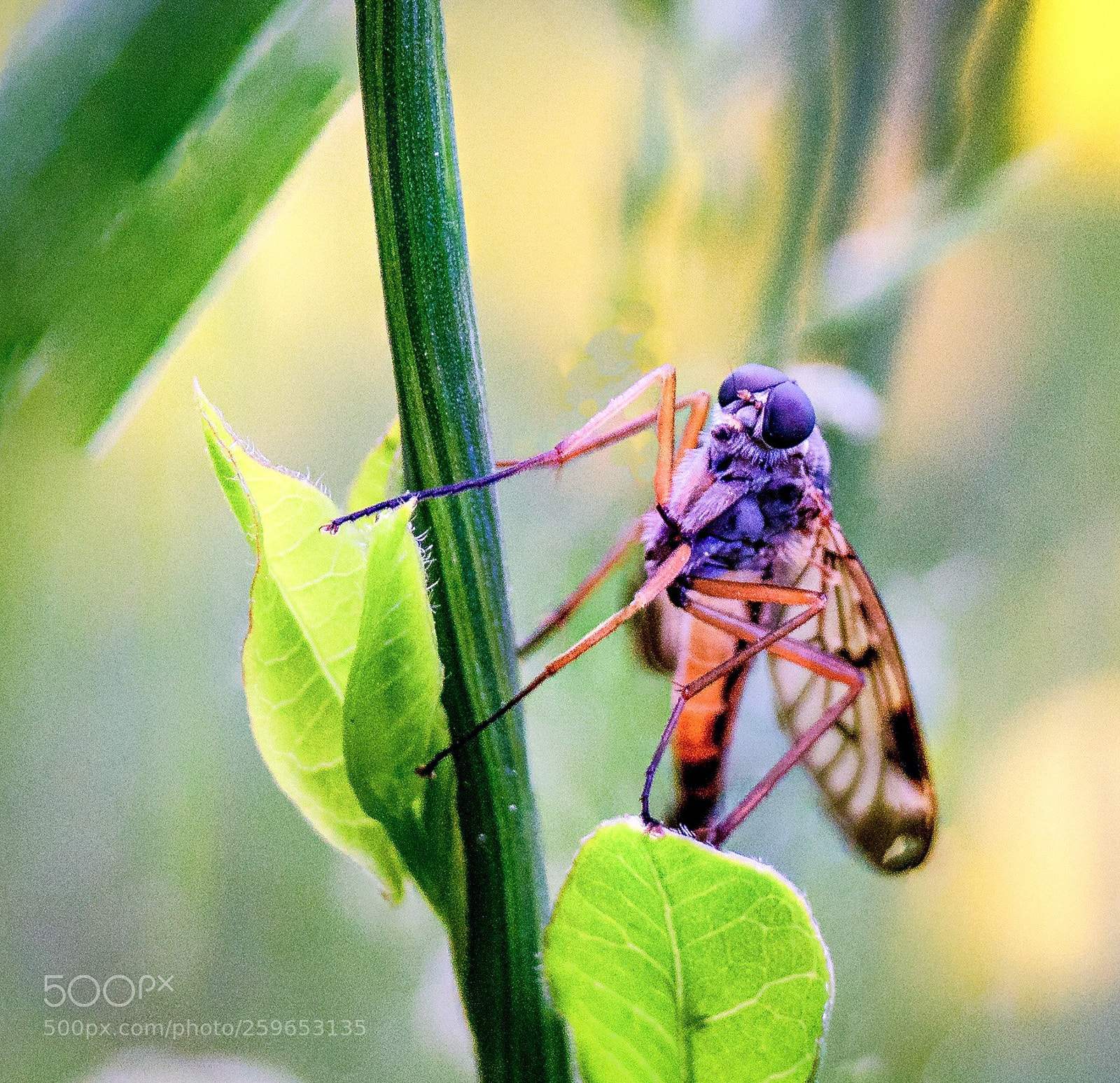 Sony ILCA-77M2 sample photo. Untitled photography