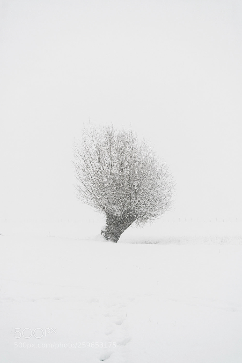 Sony a7R II sample photo. Footprints photography