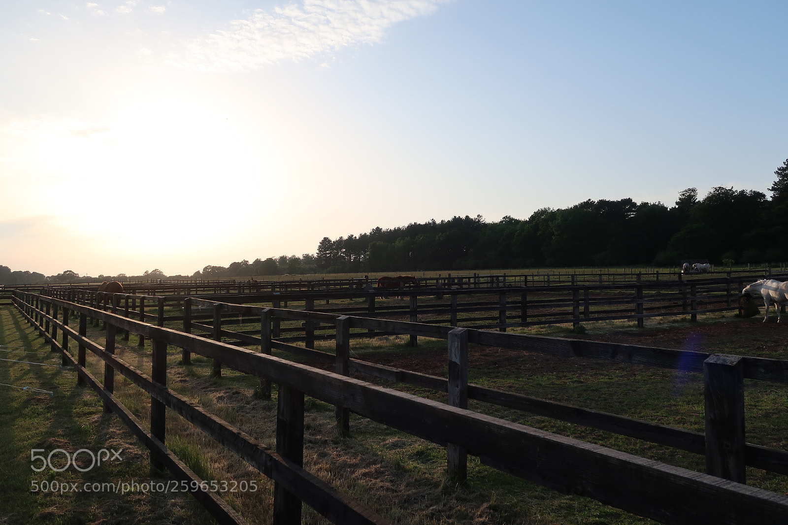 Canon PowerShot G7 X Mark II sample photo. Wideham farm photography
