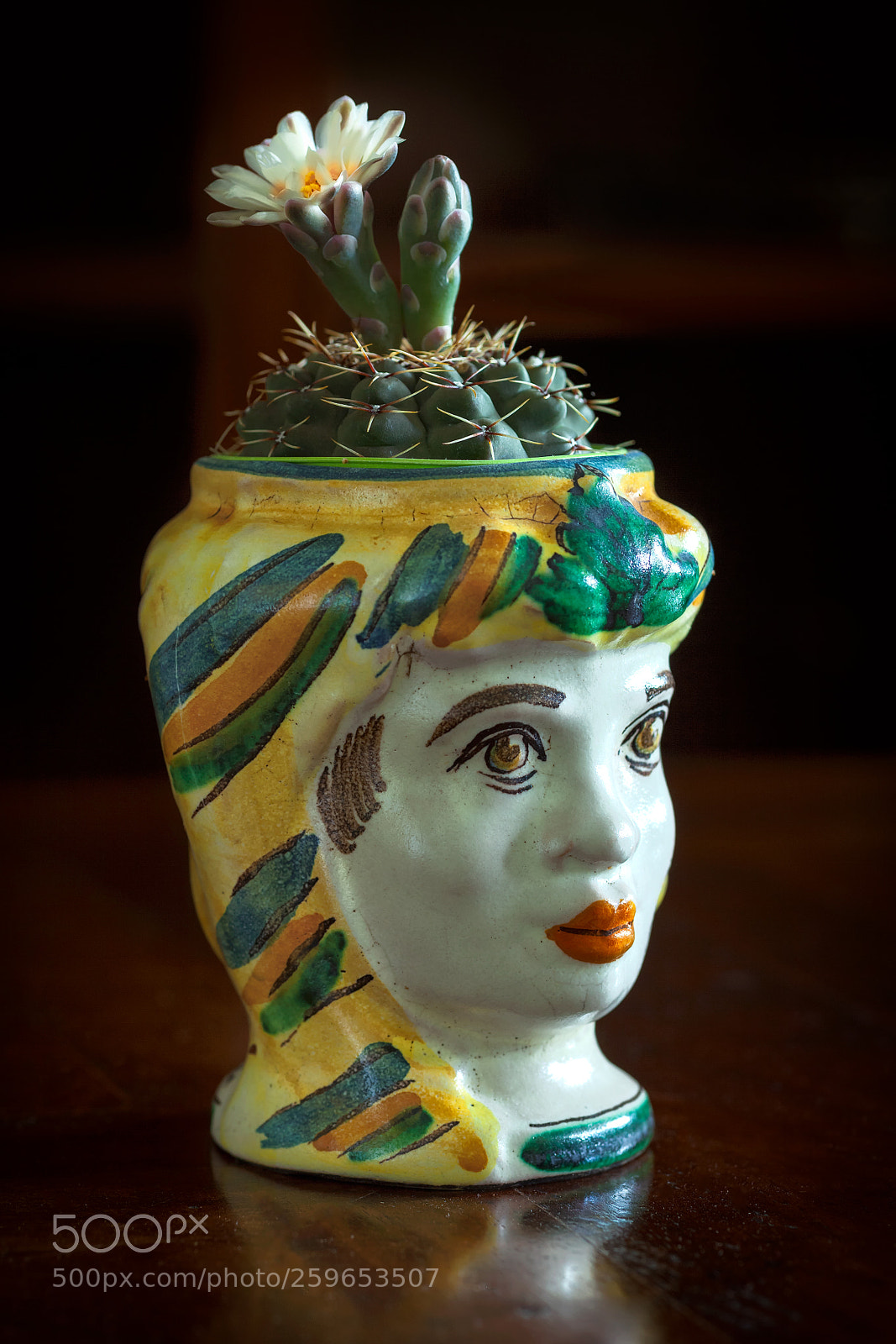 Canon EOS 5D Mark II sample photo. Sicilian plant pot with photography