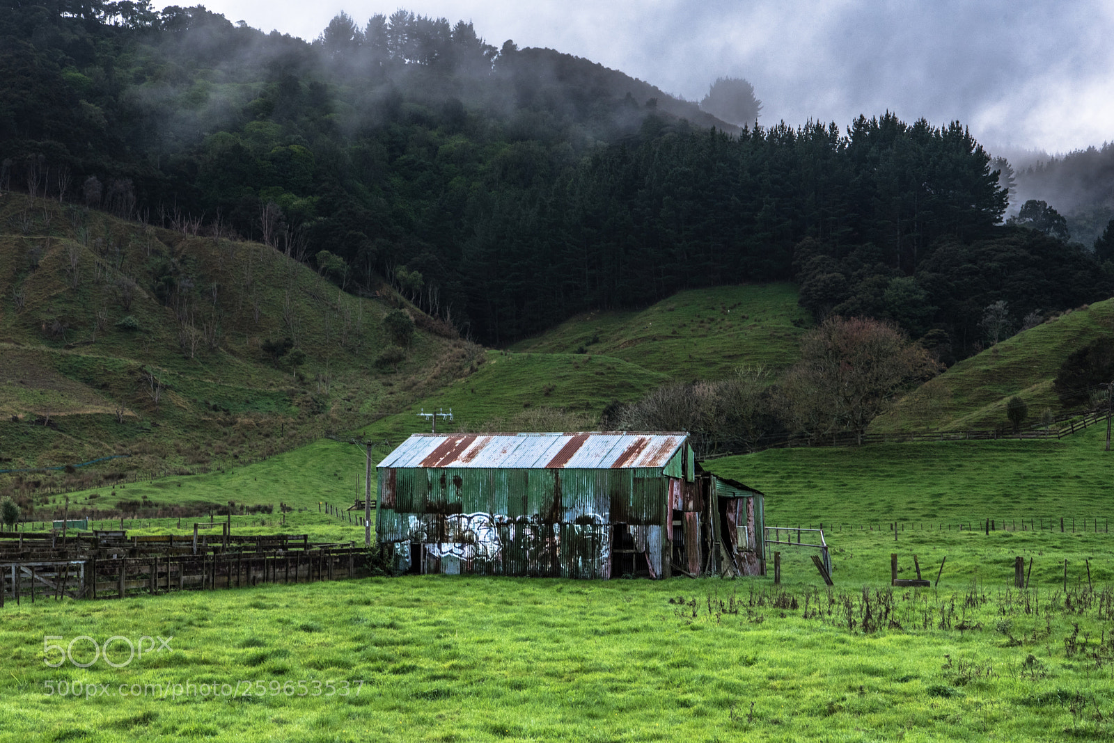 Nikon D750 sample photo. Huntly photography
