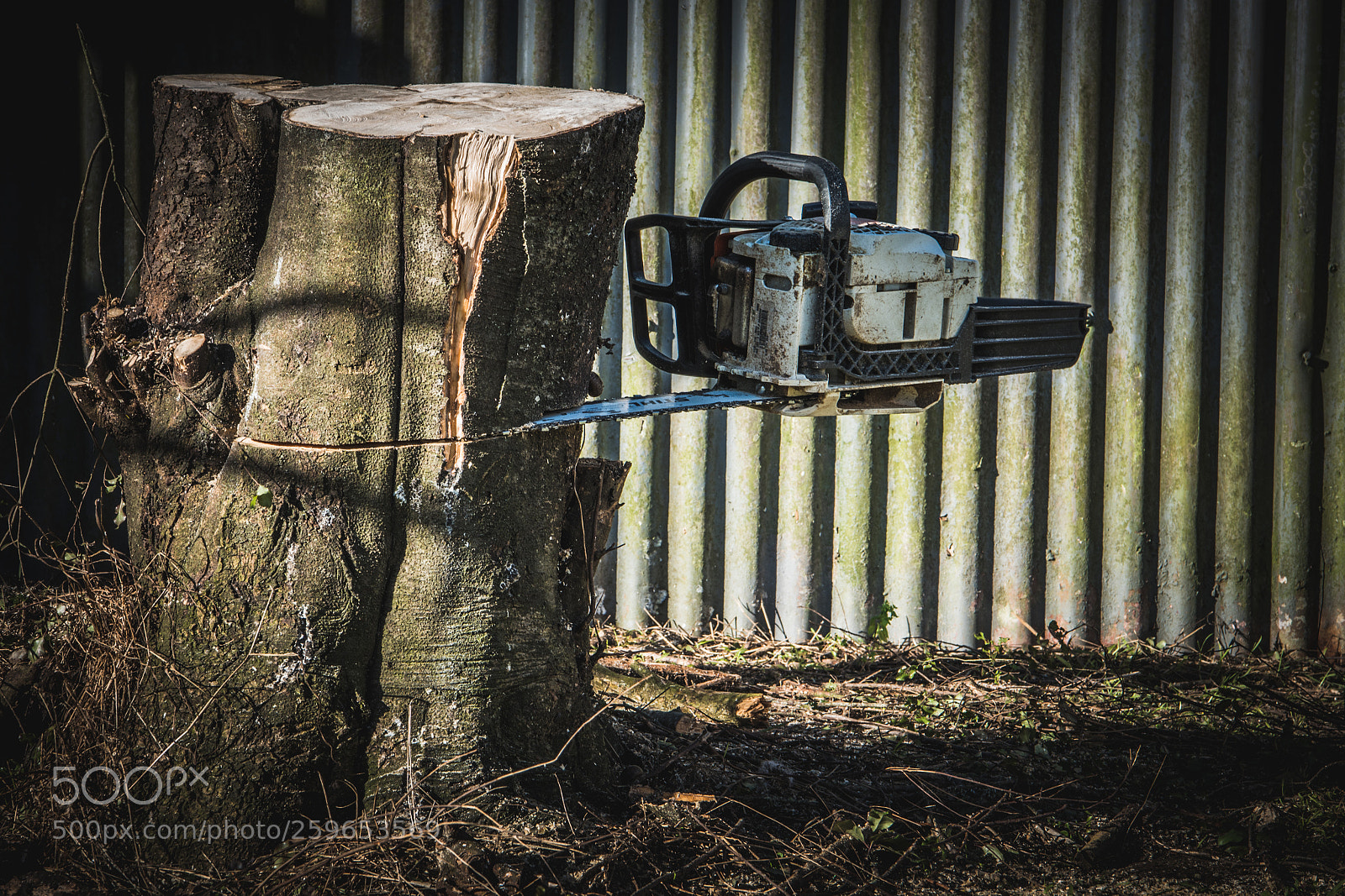 Nikon D750 sample photo. Chainsaw photography