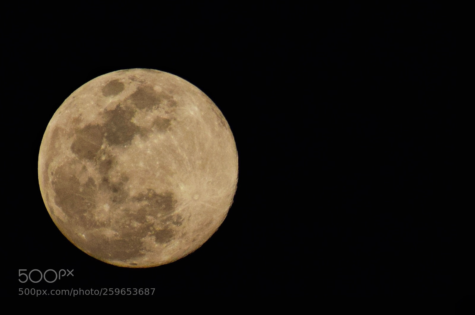 Nikon D5300 sample photo. Moon photography