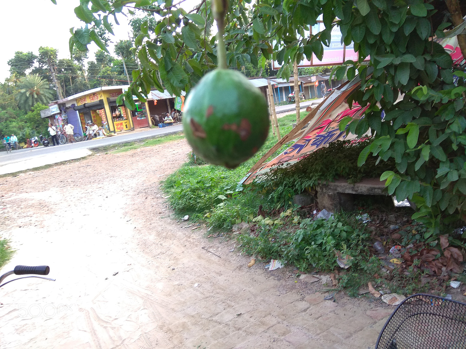Xiaomi Redmi Note 4 sample photo. Untitled photography