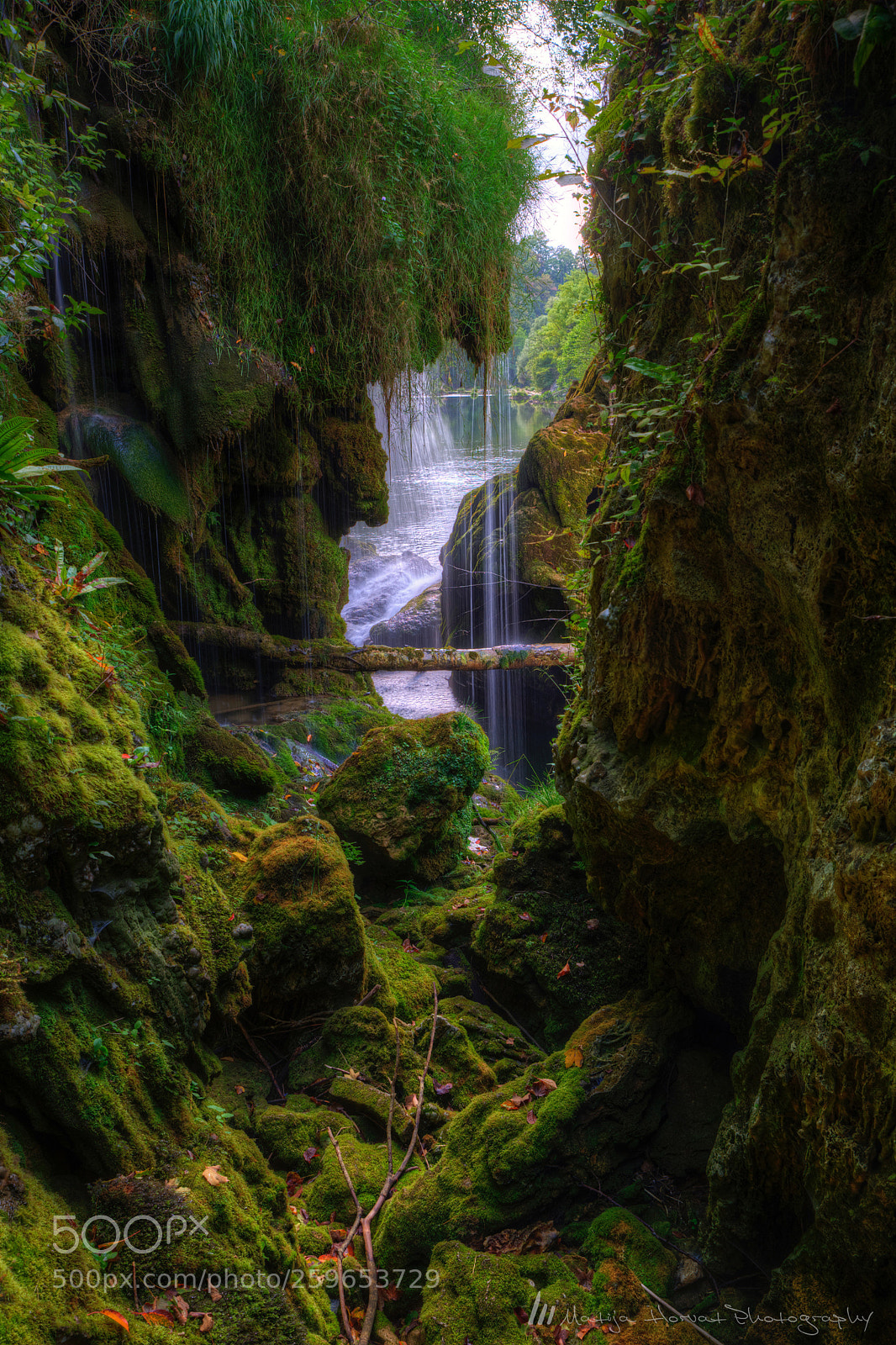 Nikon D610 sample photo. Wilderness photography