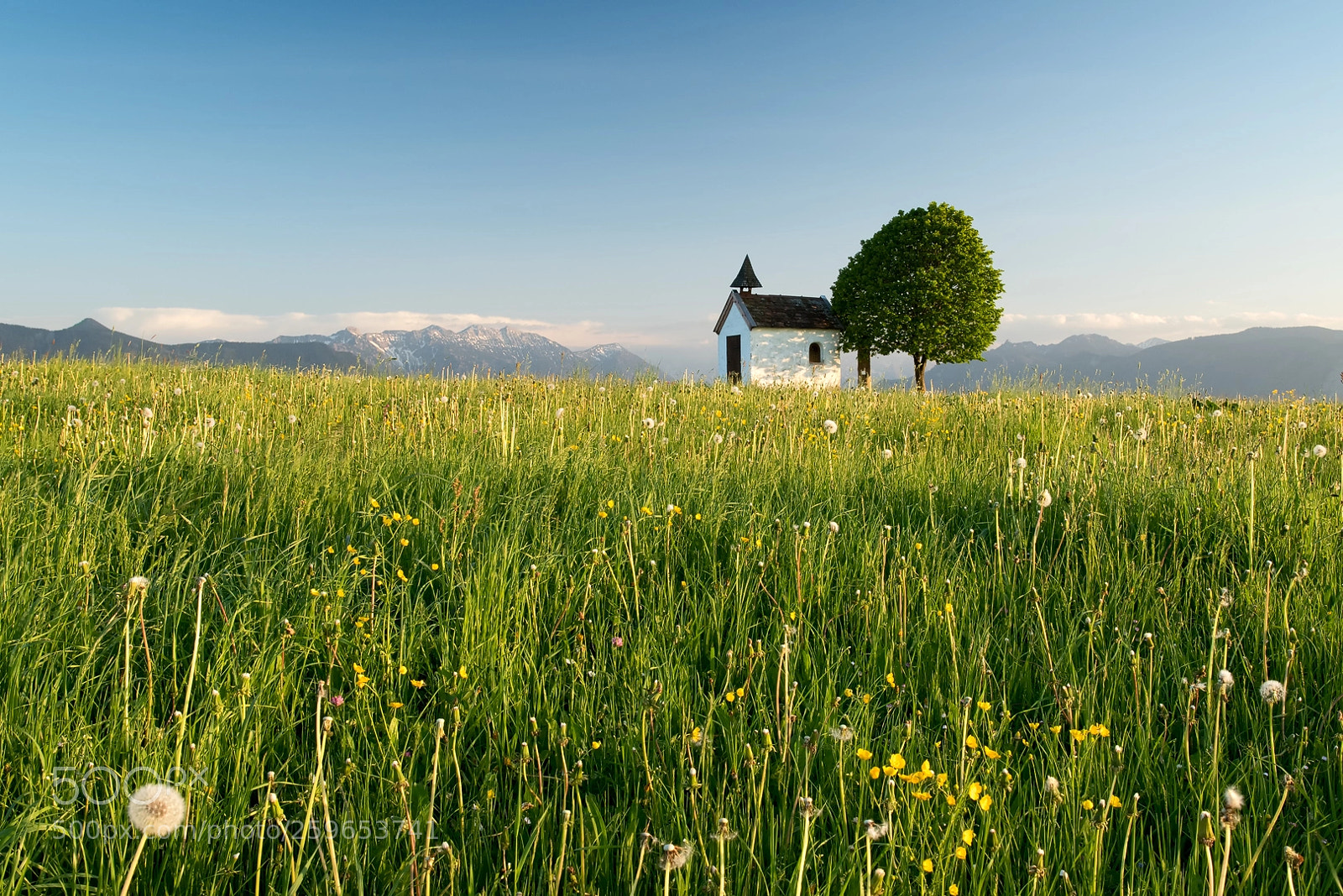 Nikon D750 sample photo. Spring chapel photography