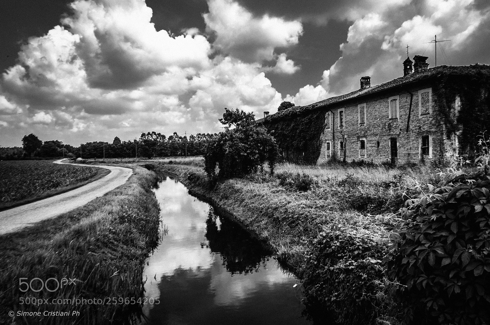 Nikon D90 sample photo. Bnw counrty  photography