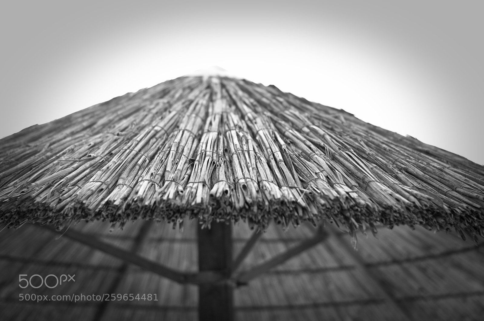 Nikon D3200 sample photo. Shade photography