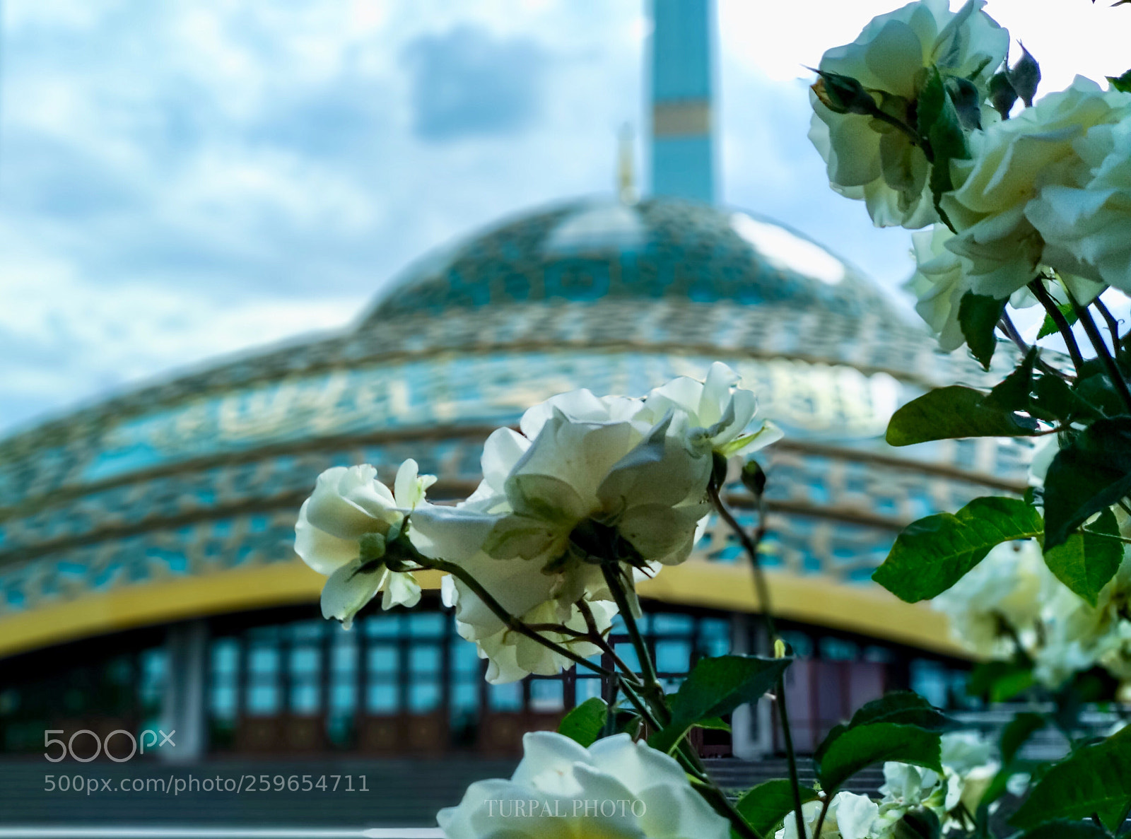 Xiaomi Mi A1 sample photo. Argun  photography
