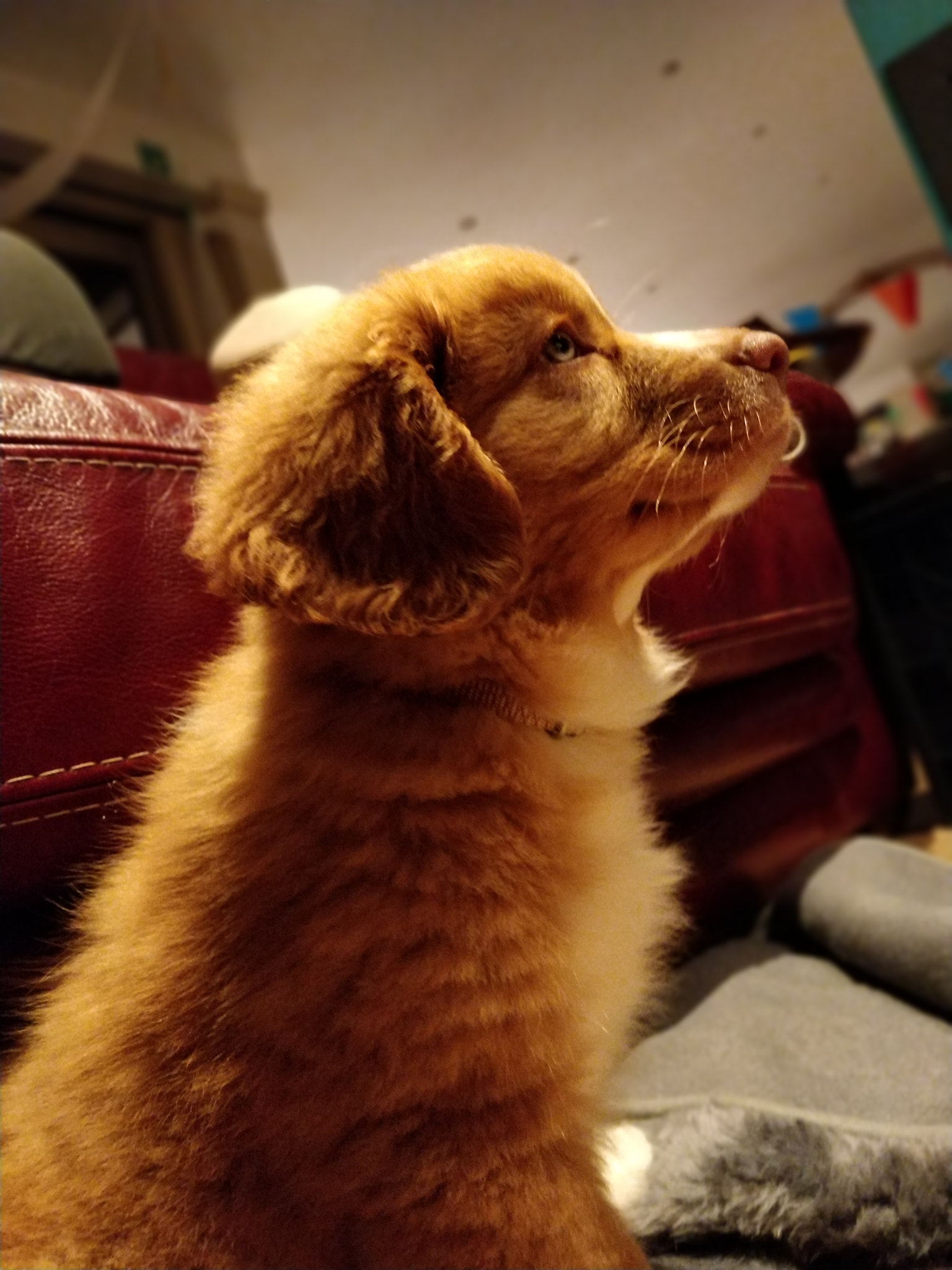 OnePlus 5T sample photo